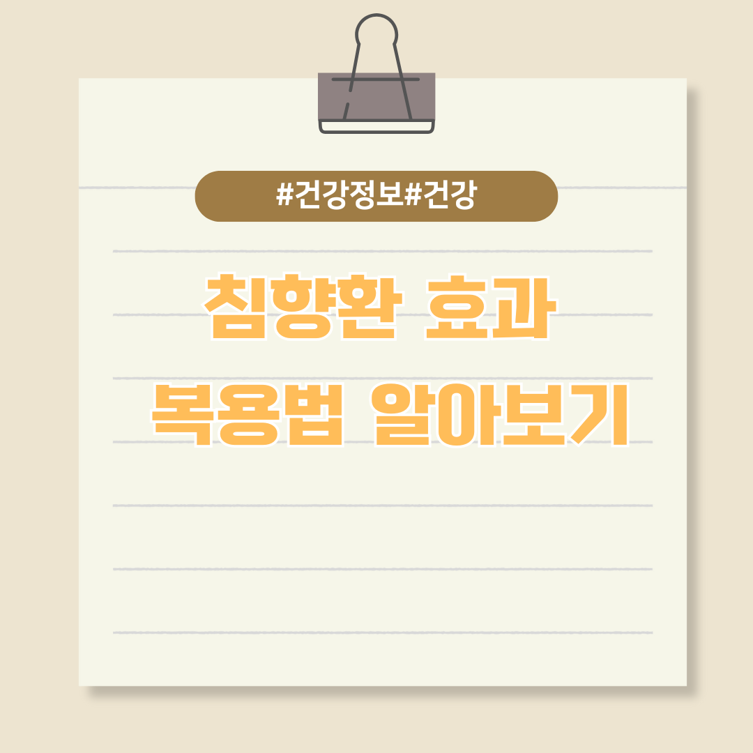 활력 있는 하루를 위한 선택, 침향환 효과 및 복용법 알아보기