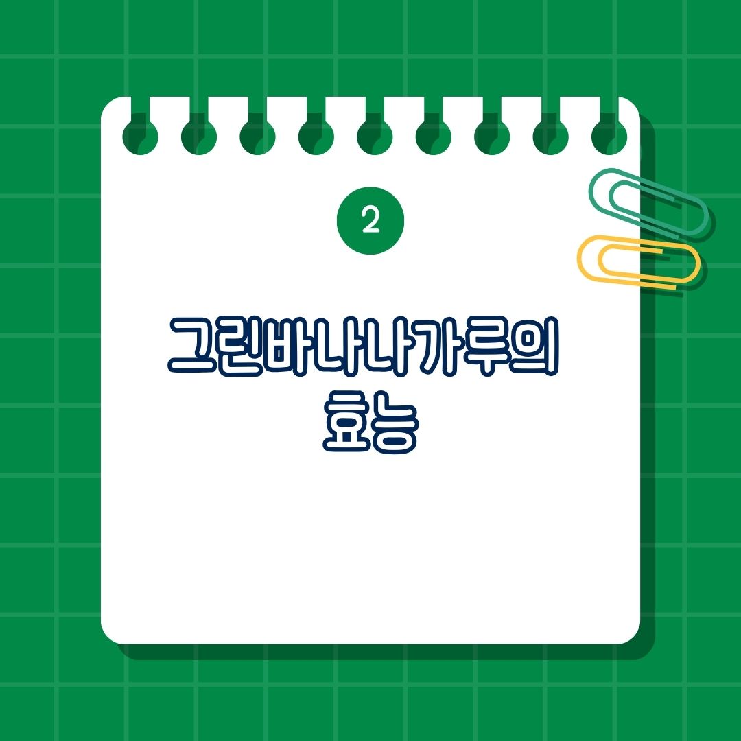 그린 바나나 가루의 주요 효능, 장 건강 개선, 혈당 조절, 체중 관리 및 다이어트, 소화기 건강 개선, 면역력 강화