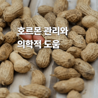 호르몬 관리와 의학적 도움