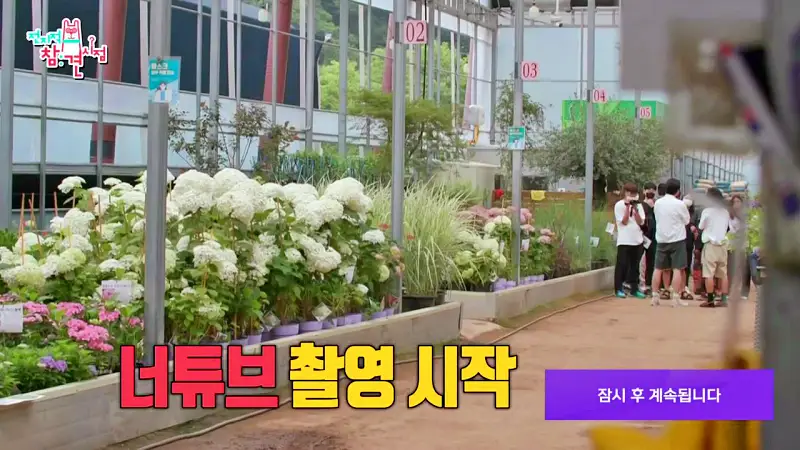 전참시 전지적참견시점 정재형 다니는 꽃집 관상수 식물 화훼 원예 농원 촬영한 곳 서초 내곡동 어디 추천 소개