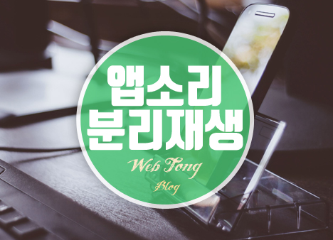 앱소리 분리재생