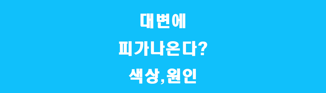 대변에 피가 나오는 이유 썸네일