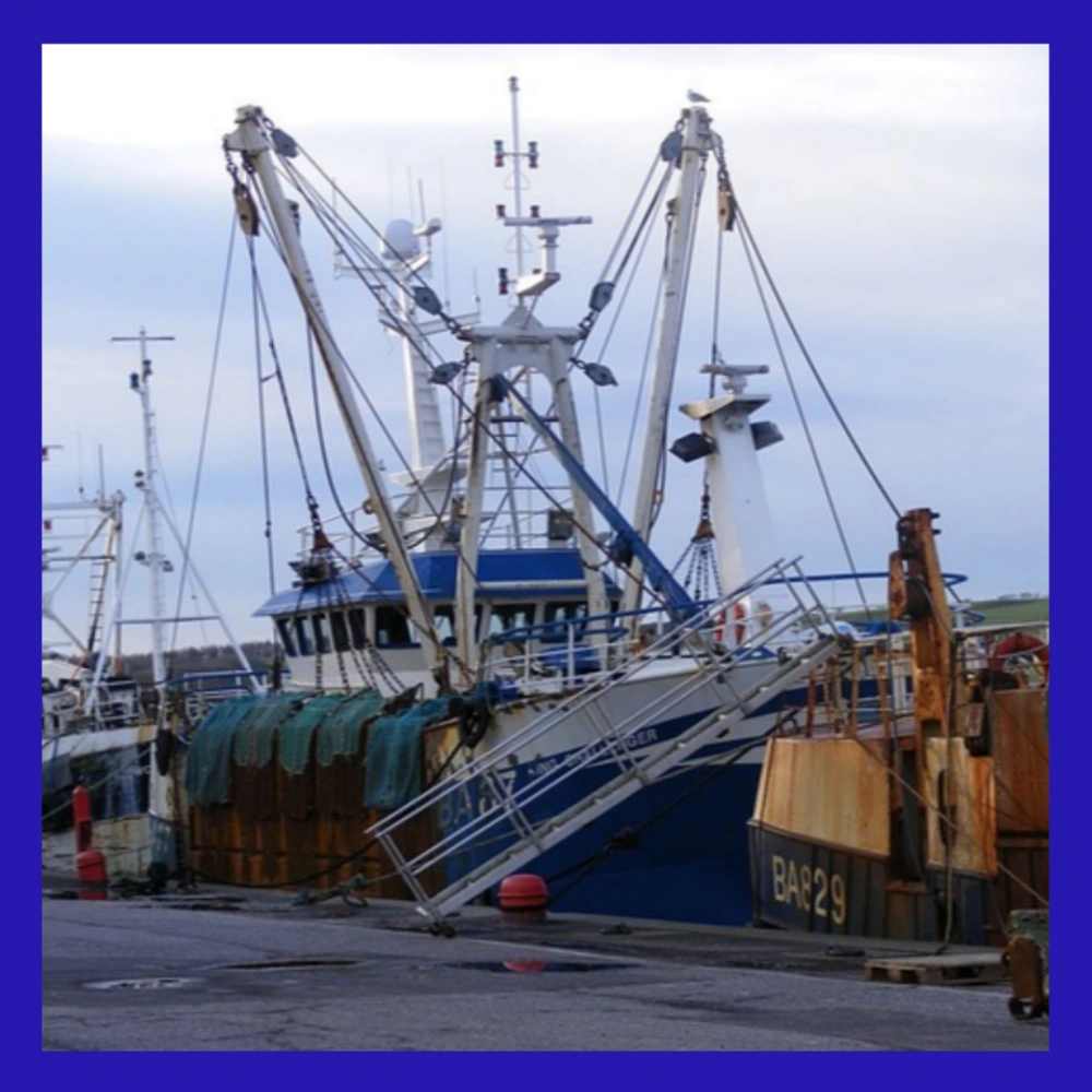 서귀포-어선-전복