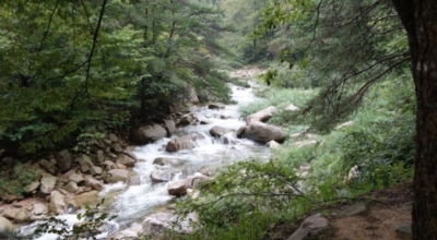 경기도가볼만한곳이미지