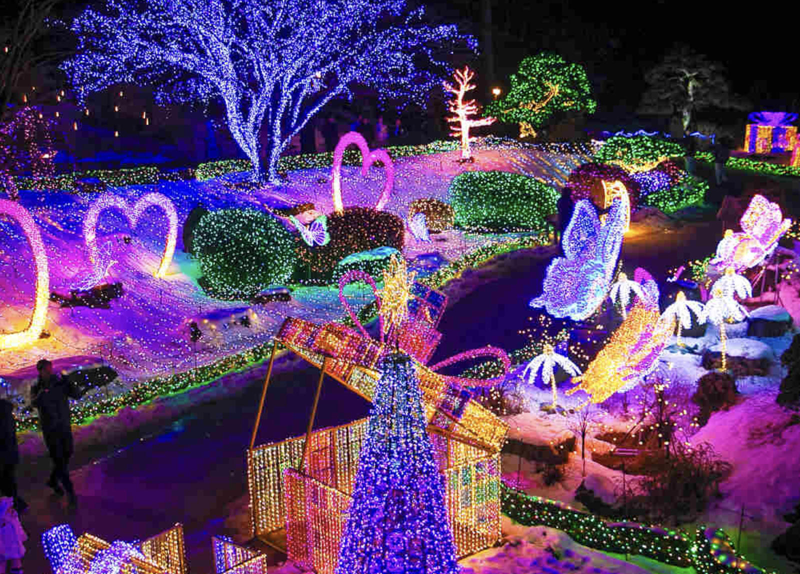 아침고요수목원 오색별빛정원전