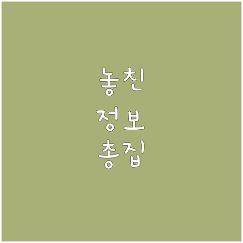 2025 영등포구 특기 장학금 지원 ..