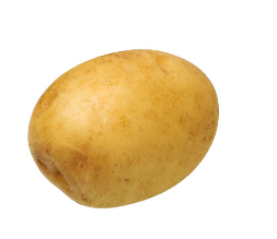 감자