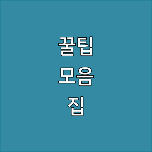 내 차 검사 기간 확인 필수! 과태료..