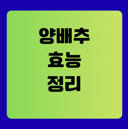 양배추 효능 정리(면역력 강화, 피부 미용, 노화 방지)