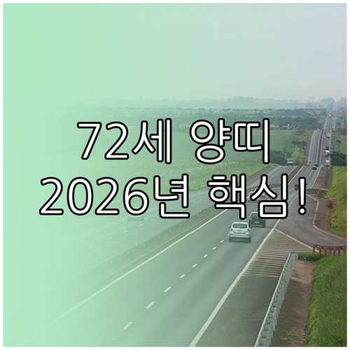 1955년 양띠 72세 2026년 운..