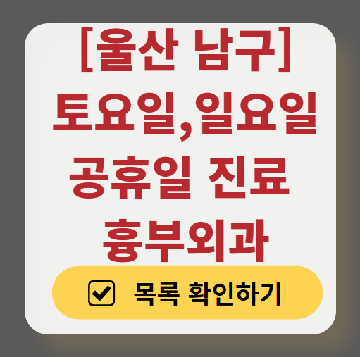 울산 남구 주말 토요일 일요일 흉부외과 진료 병원 목록 ❘ 공휴일 진료 영업 병원 리스트 찾기