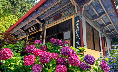 경상권 수국명소 추천 7곳, 여름의 정취를 만끽할 수 있는 곳