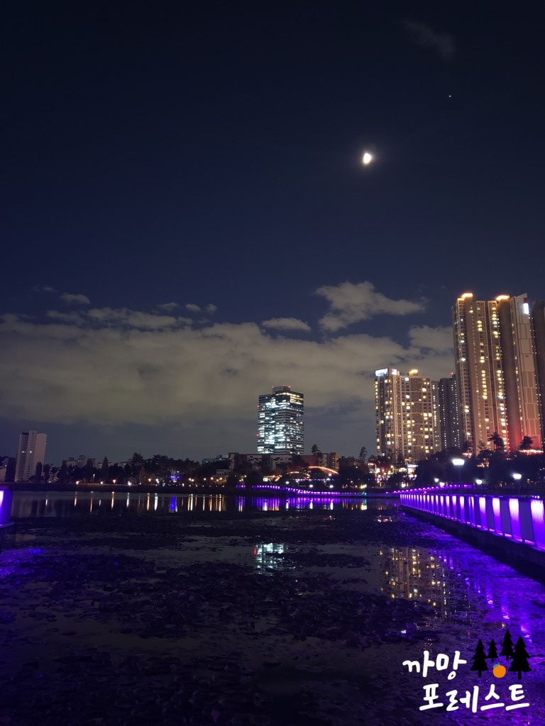 광교호수공원 야경
