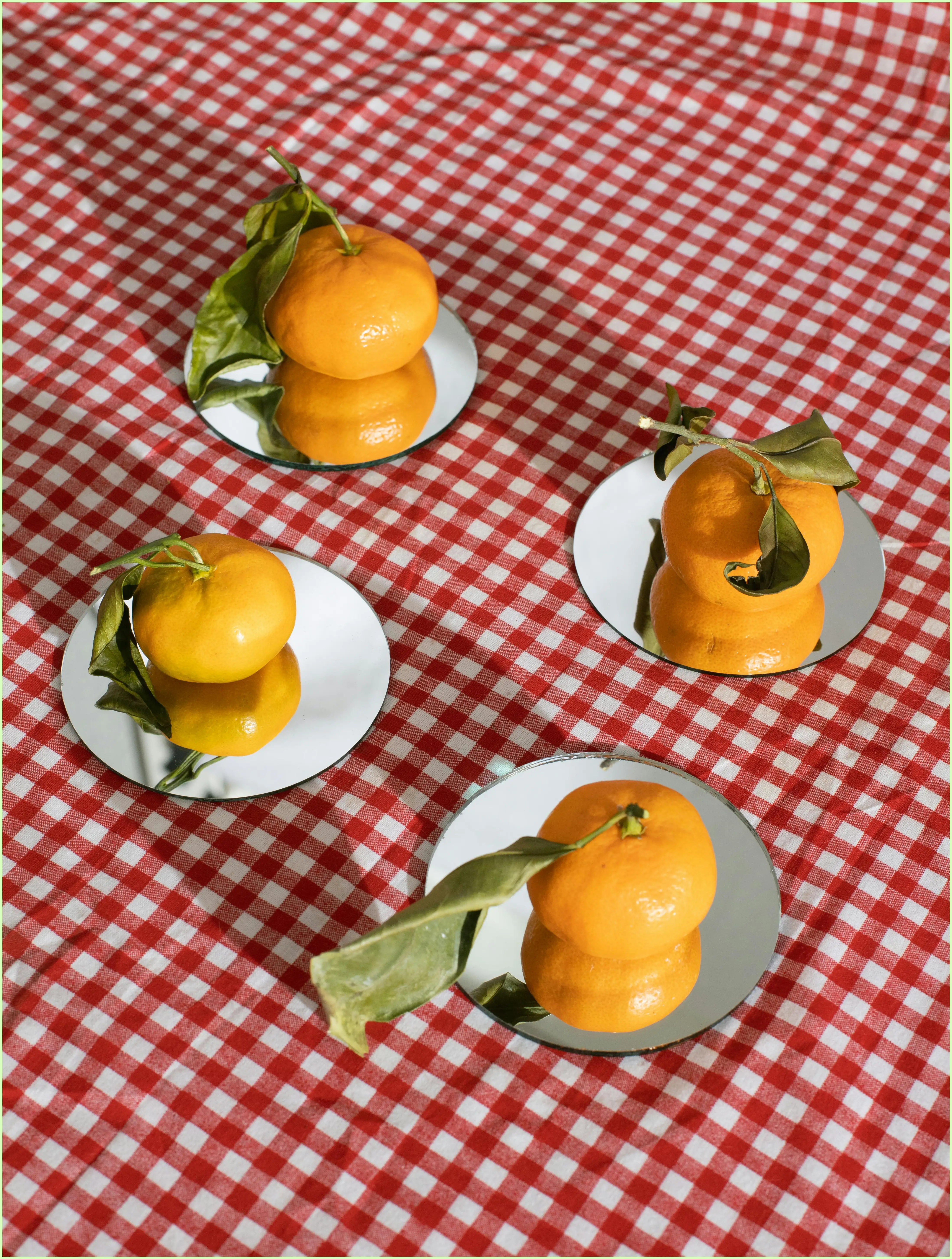 강아지 귤 먹어도 되나요? 소량 급여와 안전한 급여법