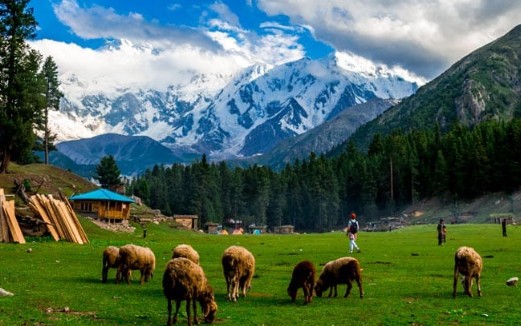 파키스탄 여행지 추천 훈자 - 페리 메도우