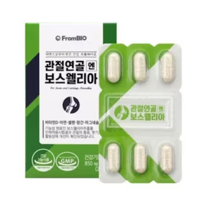 관절 영양제