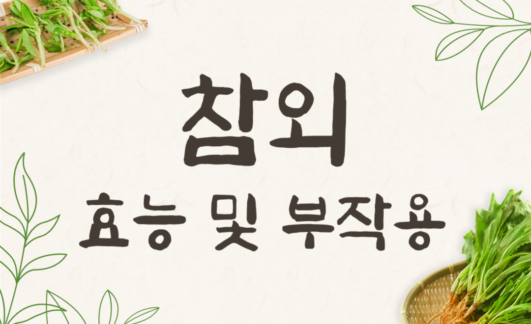 참외 효능 부작용 칼로리 총정리