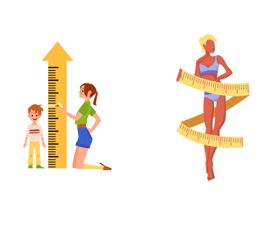 오가피 효능4 성장기 발육 및 다이어트