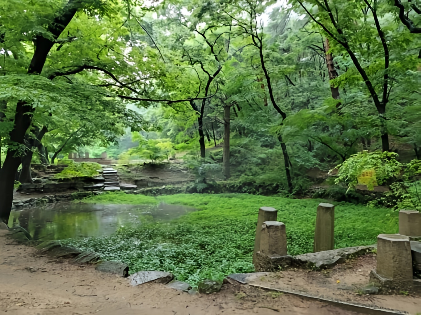습지가 잘 보존 되어 있는 '백사실 계곡'