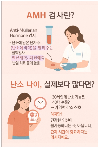 AMH 난소기능검사 알아보기