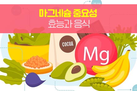 마그네슘-중요성-썸네일