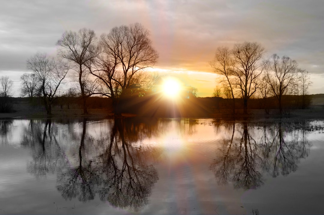 Mirroring