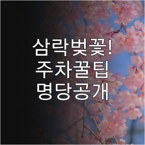 삼락생태공원 벚꽃 주차 안내와 인파 ..