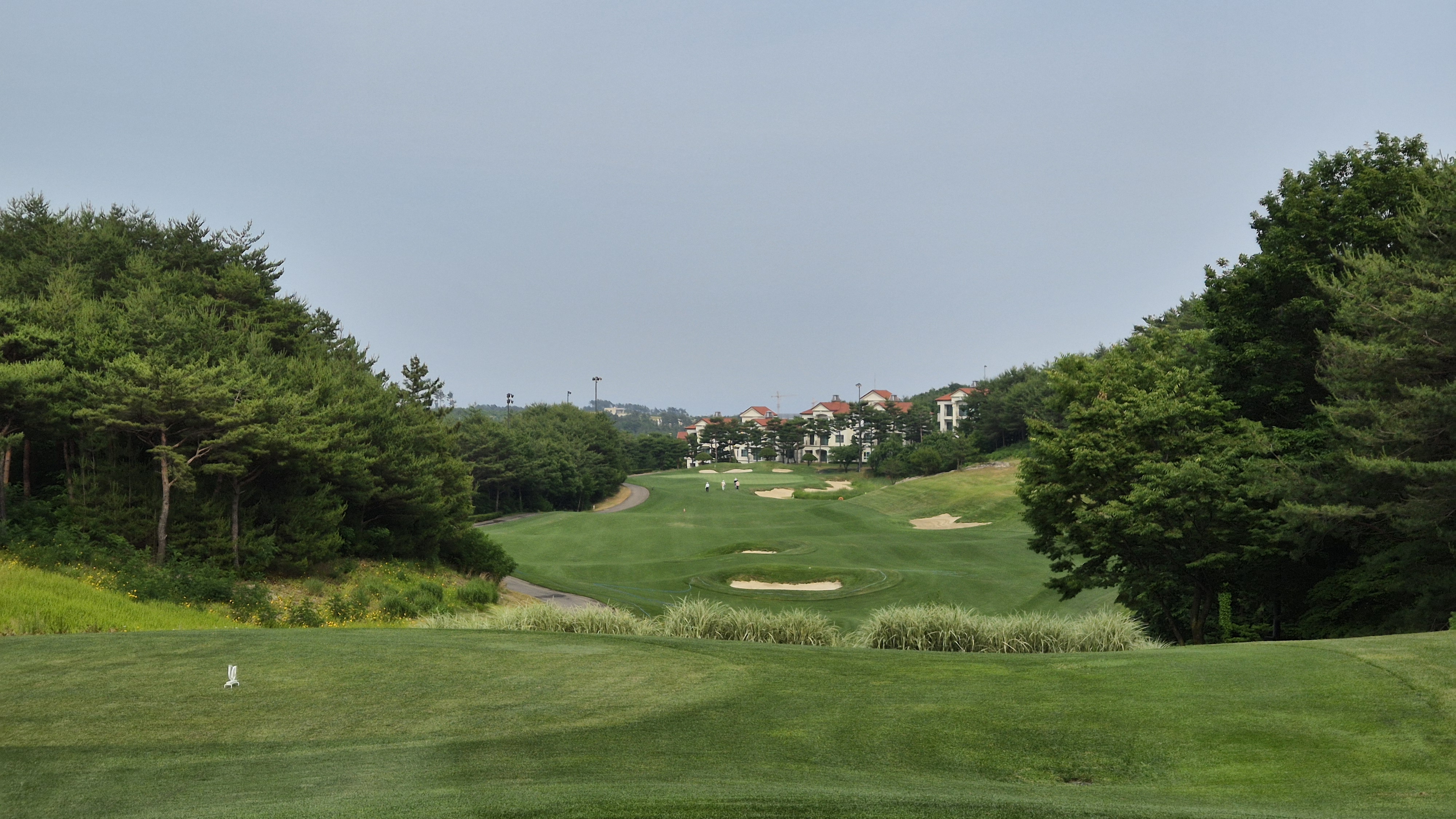 파인리즈cc 후기 및 코스사진