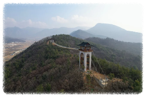 요즘 SNS에서 핫한 곳! 봉명산 출렁다리