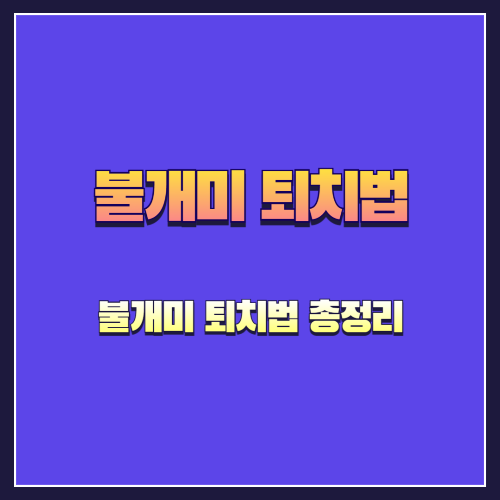 불개미에 대해 꼭 알아야 할 모든 것: 특징부터 예방과 대응법까지