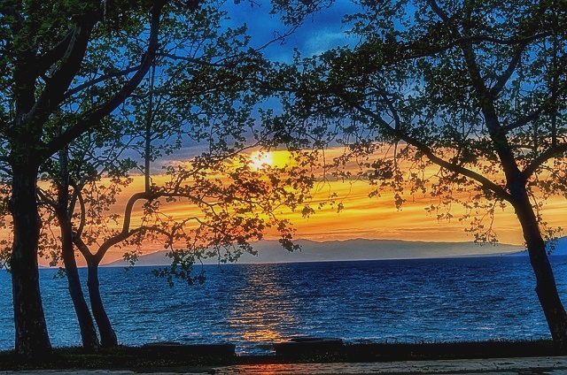 확정일자 받는 법