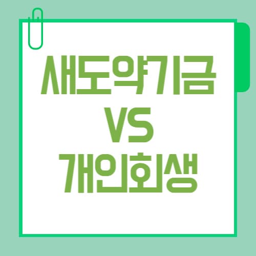 새도약기금 vs 개인회생 차이 3가지｜자격 조건 완벽 비교 (배드뱅크)