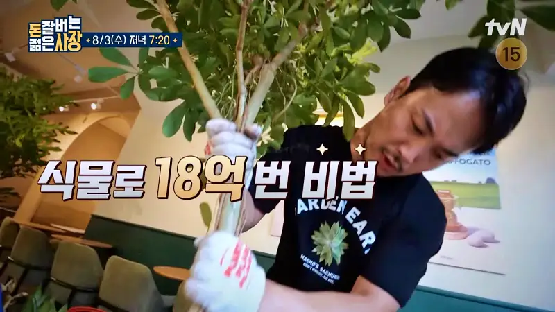 돈 잘버는 젊은사장 식물 인테리어로 부자가 되다 '억' 소리 나는 플랜테리어 조경설계 실내조경 식집사 서장훈 주우재 추천 소개