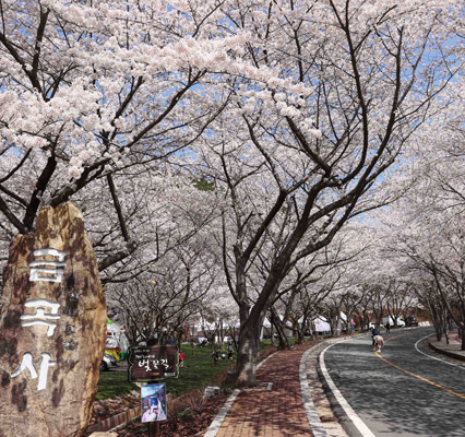 2025 강진하맥축제 완벽 가이드 | 전남 최고의 맥주 페스티벌에서 즐기는 여름밤