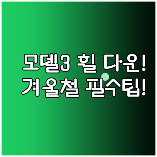 테슬라 모델 3 퍼포먼스 윈터 휠 다..