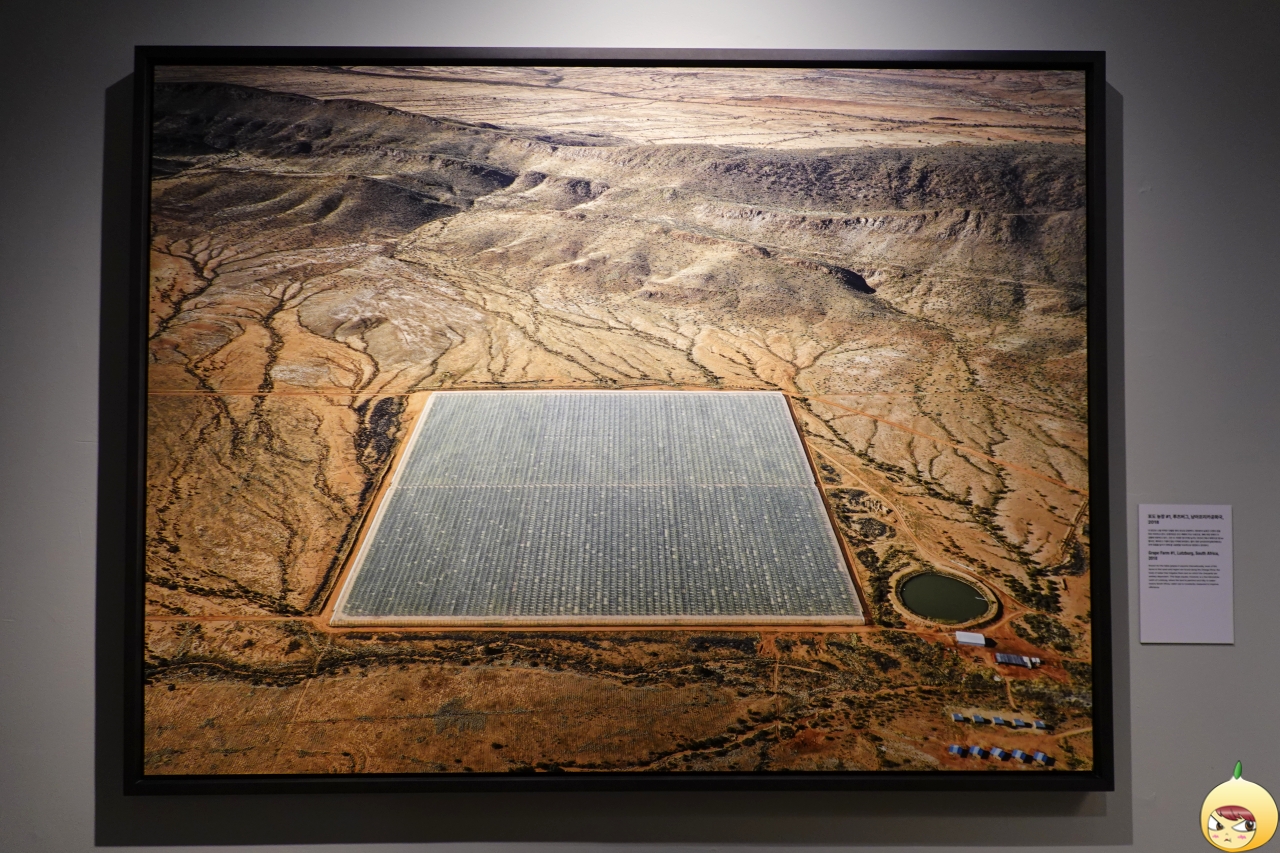 포도 농장 #1, 루츠버그, 남아프리타공화국, 2018