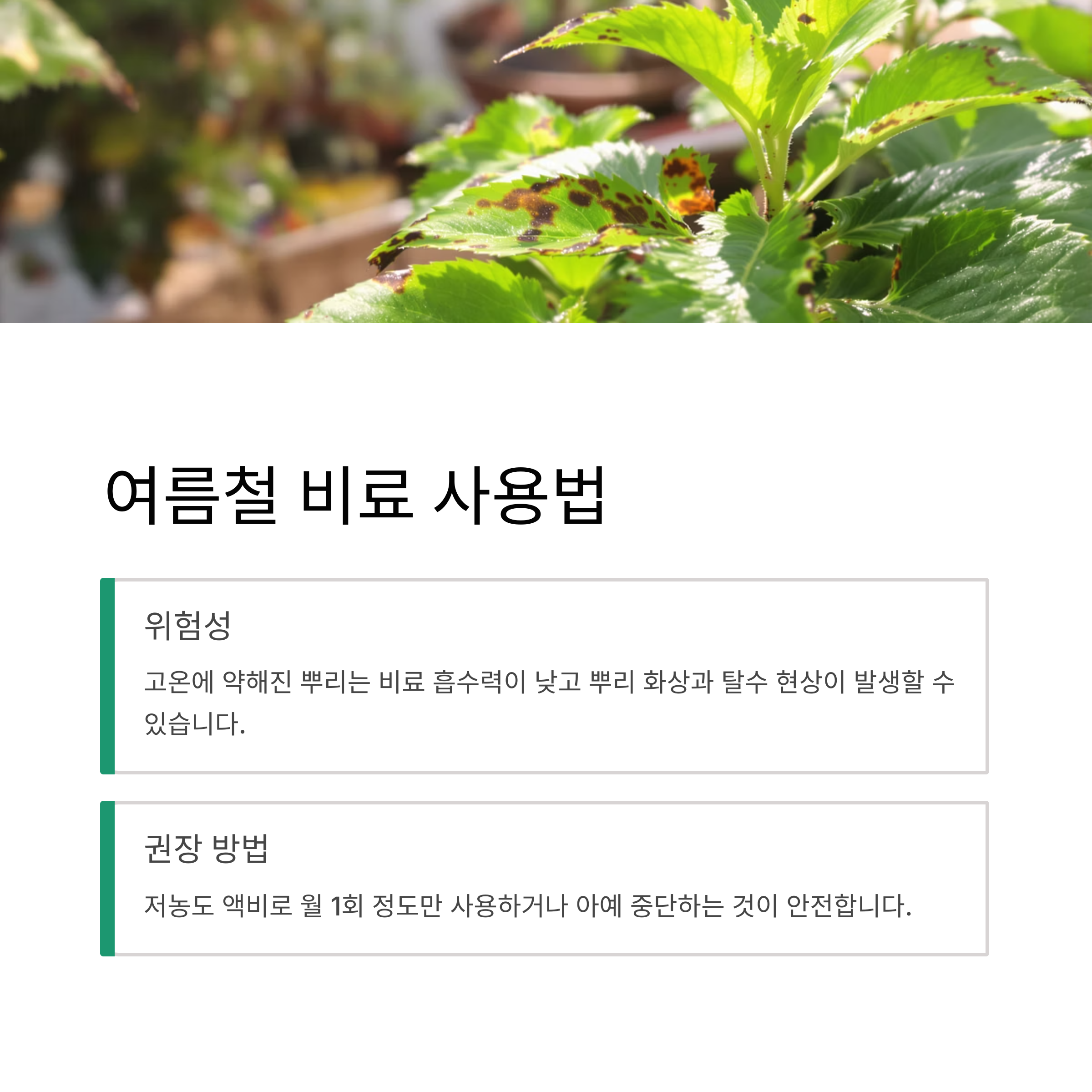 여름철 비료 사용법
