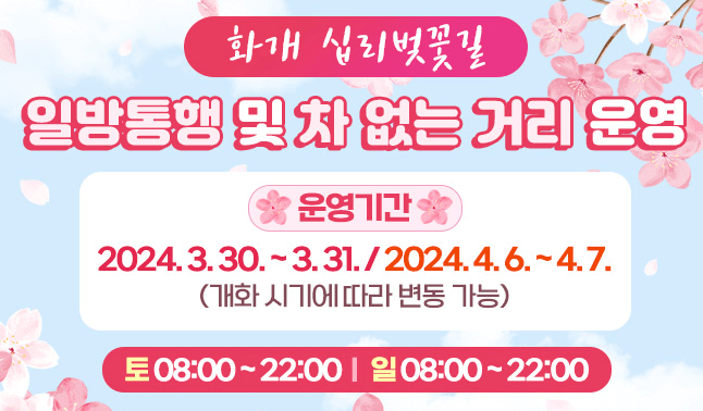 벚꽃개화시기 2024