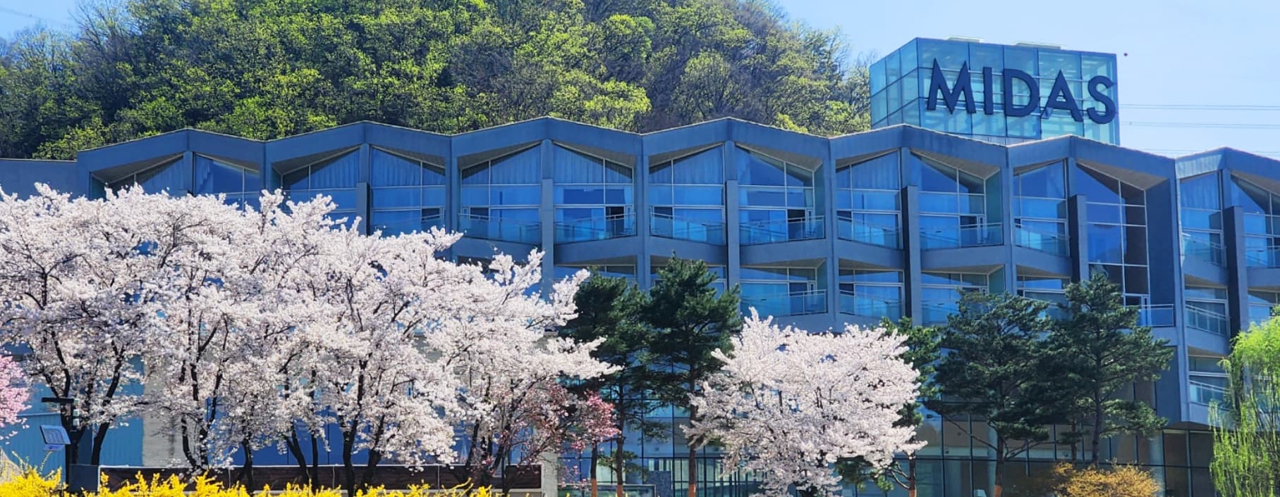 남이섬 숙소 추천 ❘ 감성 가득한 호텔 &amp; 펜션, 가성비 숙소 총정리