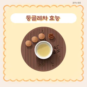 둥글레차 효과 건강에 좋은 차 효능 정리_25