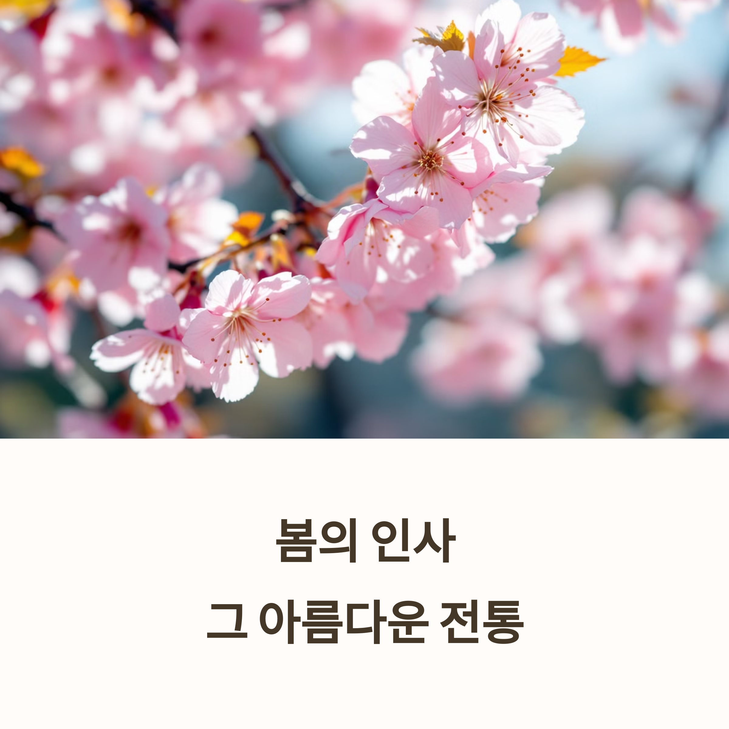 봄 인사말 봄날 격식 있는 문자 메일 인사말 모음