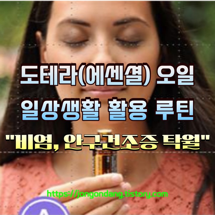 도테라 오일 일상 활용 루틴, 비염과 안구 건조증 효능 탁월 이미지