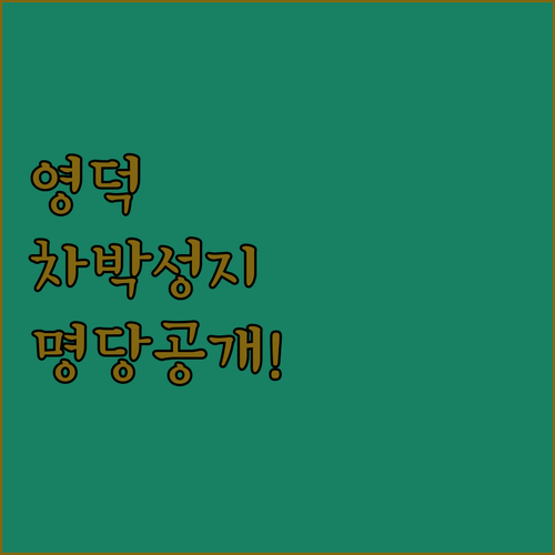 영덕 차박 성지 달산저수지 물멍 명당..