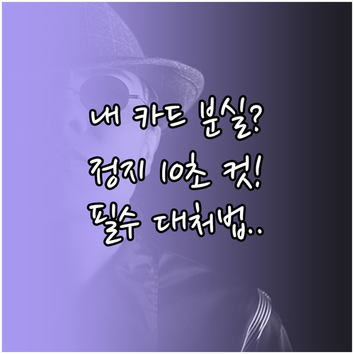 모두의카드 일시정지 방법 및 분실 신..