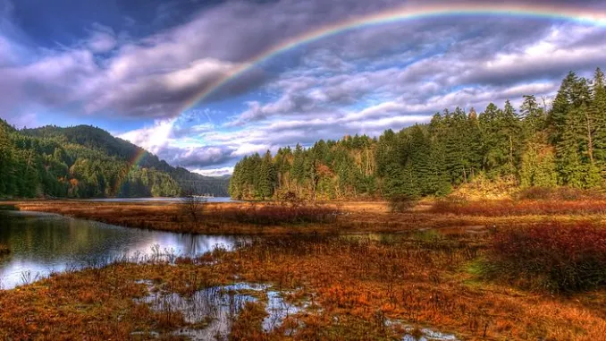 Gold Stream parks Picture