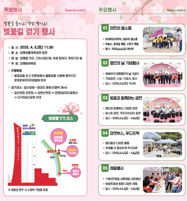 벚꽃길 걷기 행사