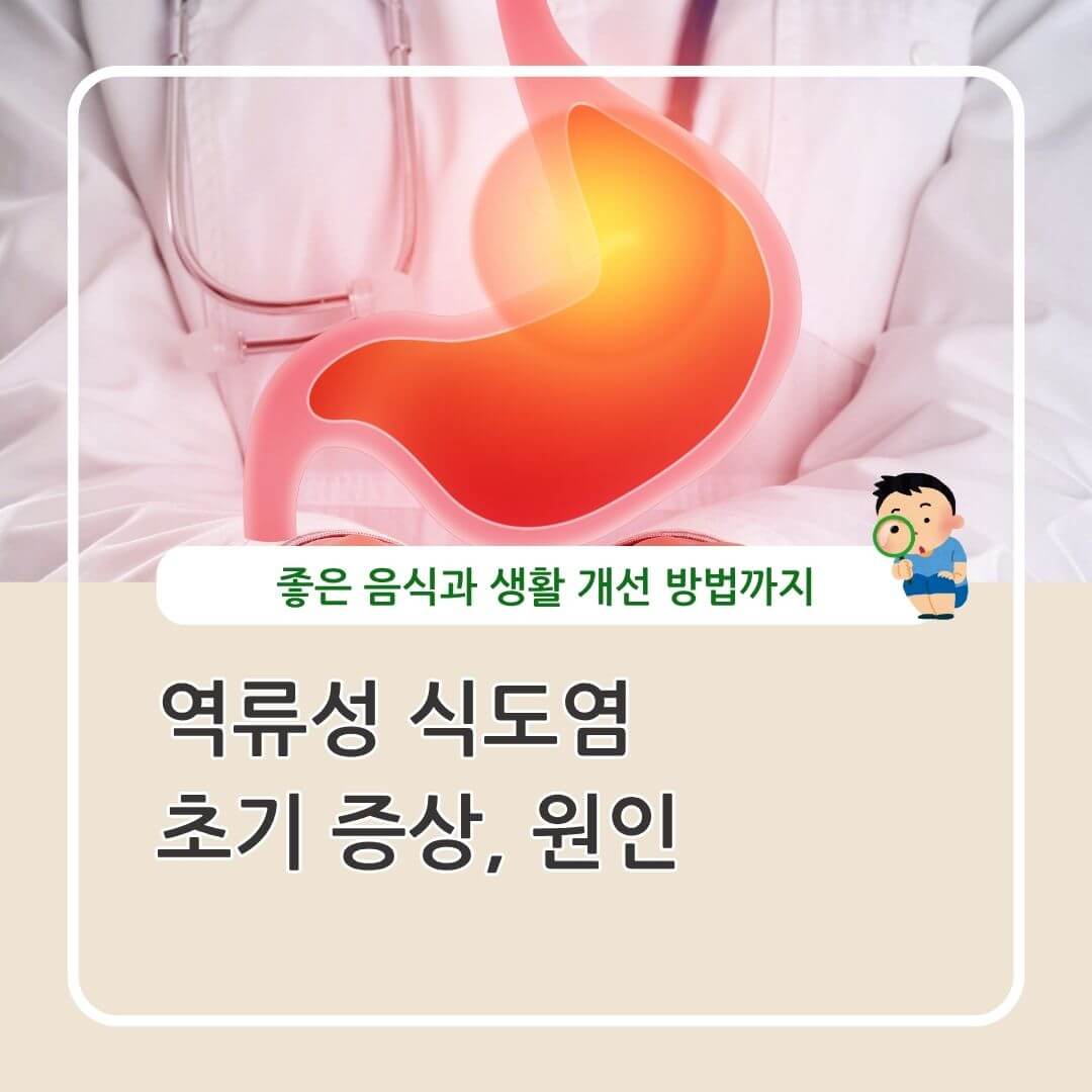 역류성 식도염 증상 원인