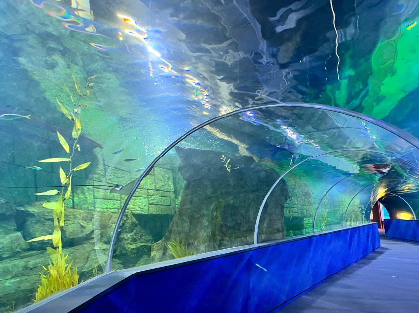 대전엑스포 아쿠아리움1