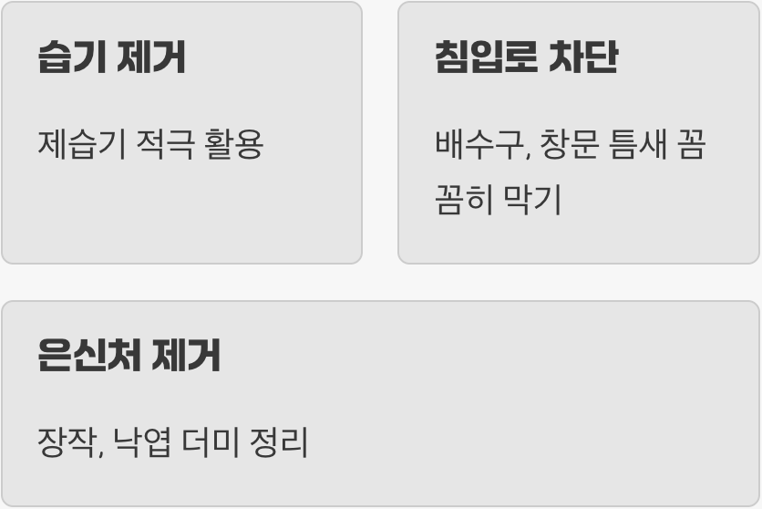 다시는 나타나지 않게 하려면?