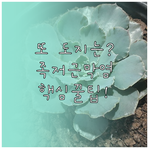 치료해도 자꾸 도지는 족저근막염, 재..